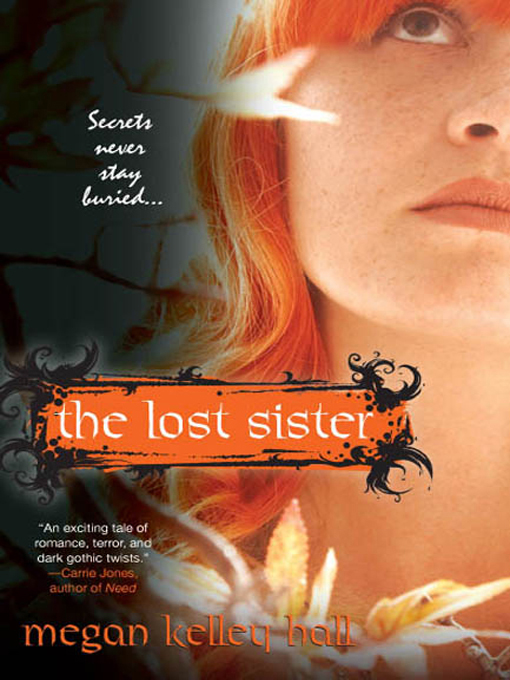 Title details for The Lost Sister by Megan Kelley Hall - Available